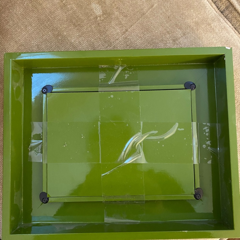 Golden retriever print framed in big green frame - Picture 4 of 5